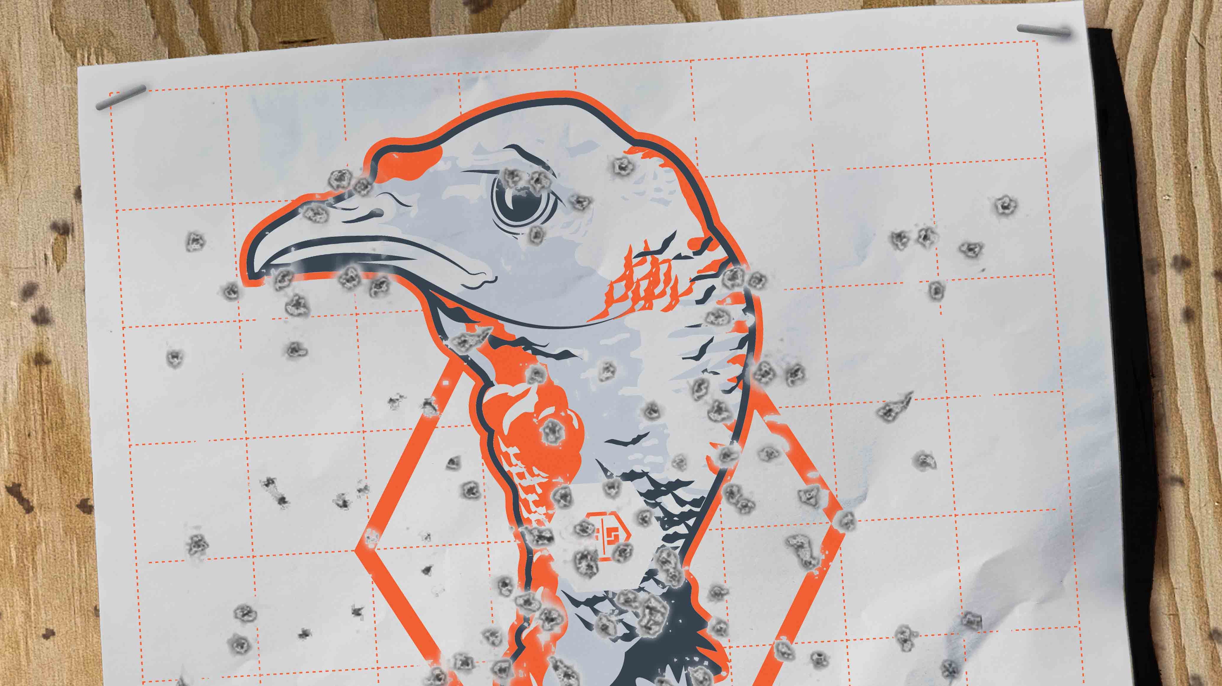 FREE DOWNLOAD- TURKEY TARGET